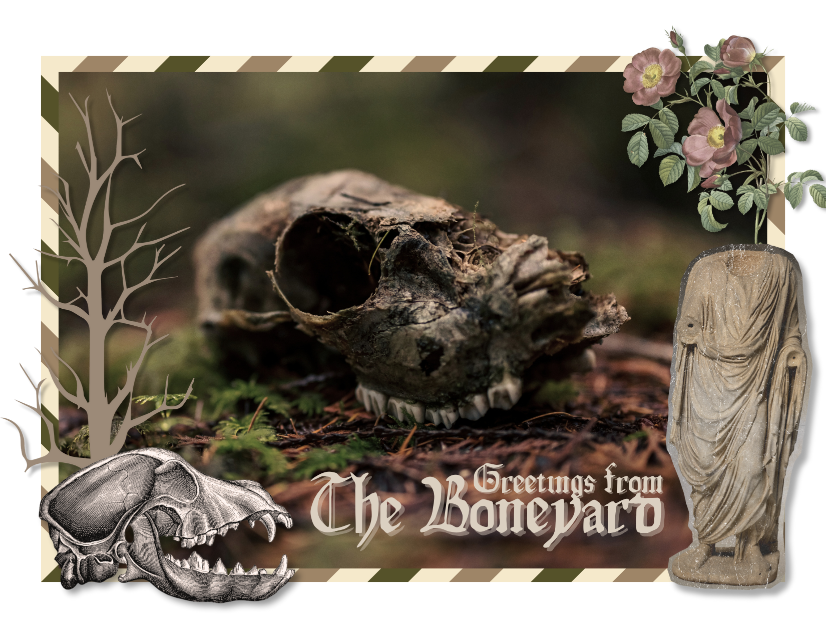 {{brizy_dc_image_alt imageSrc=