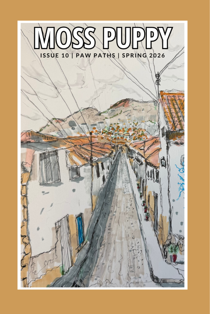 Paw Paths