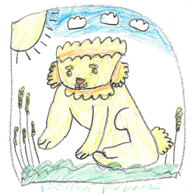 {{brizy_dc_image_alt imageSrc=
